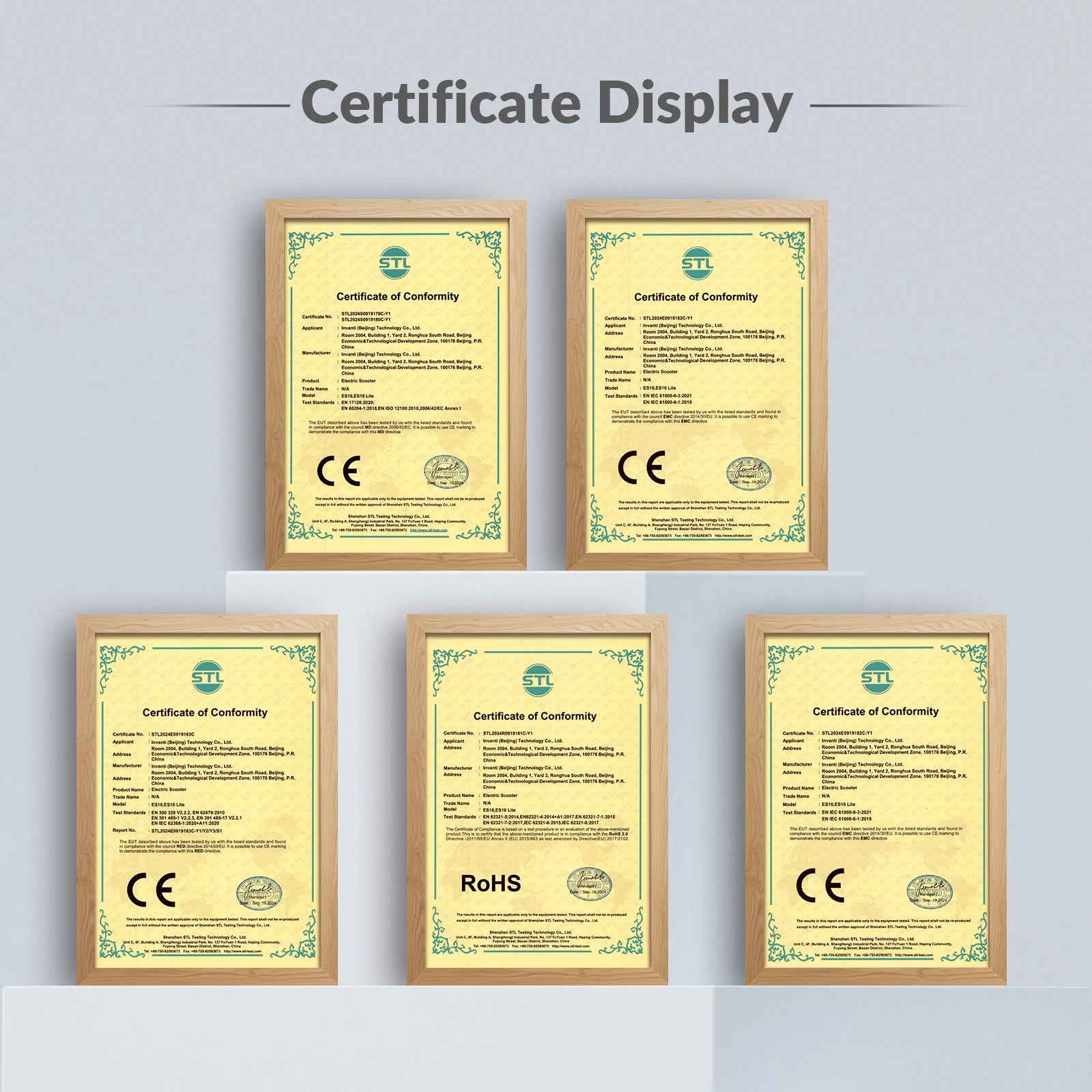 Trottinette électrique adulte tout terrain 600W